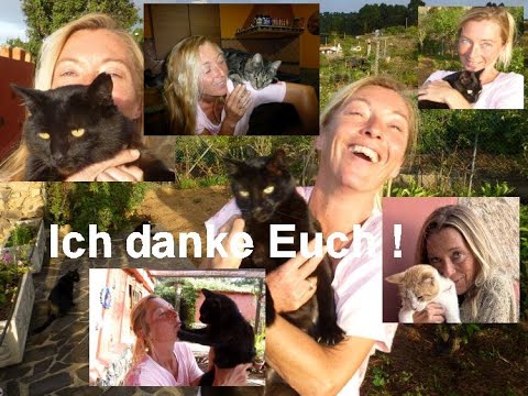 ANNIVERSARY! 25 years of cat consultations!