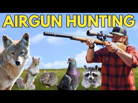WATCH This BEFORE Air Rifle Hunting!