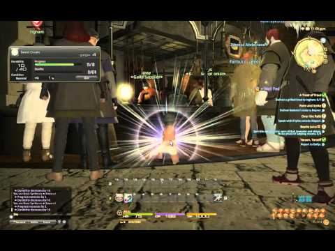 Final Fantasy XIV: Arcanist Levels 13-15, Cook 1-5 - 9 / 9