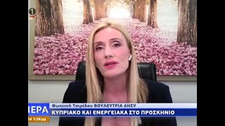 Κυπριακό και ενεργειακά στο προσκήνιο
