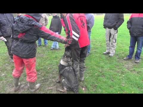 Seminar Gieboldehausen - Gabina Macounova & Marek Urban - 8.-10.11.2013 - Germany