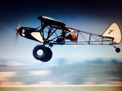 savage bobber rc plane for sale