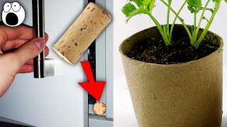 20 Amazing New Uses For Used Everyday Items
