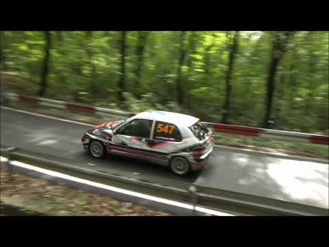 Aleksandar Roman - Brdska trka Avala 2021 - Citroen Saxo 1.6