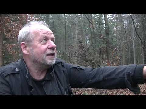 Wawrzynek wilczełyko