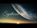 Beautiful Piano - Song Synthesia - Cold By Jorge Méndez / Music