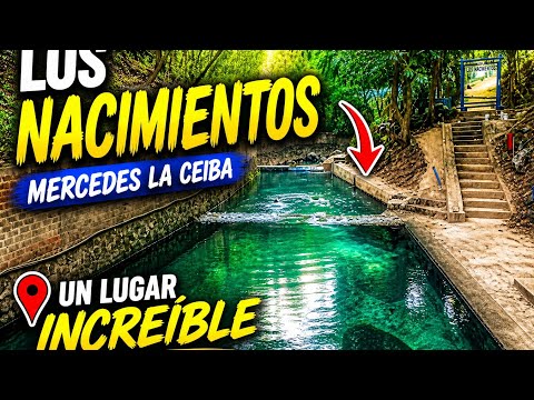 LOS NACIMIENTOS, EN MERCEDES LA CEIBA 
