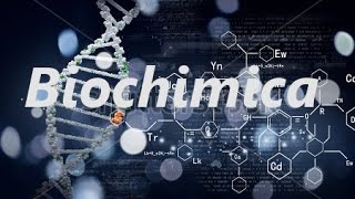 FitBuster - Biochimica - Acidi Grassi