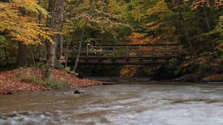Autumn's bridge | PhotoLink Library