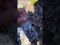 This Simple Trick Catches Ticks Before They Bite! #shorts