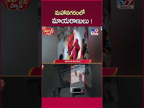 iSmart News :మహానగరంలో మాయరాణులు ! | Jagtial  - TV9