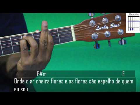 A Nossa Vez - Delfins