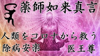 【小呪】疫病が流行ったから薬師如来真言で新型コロナウィルスCOVID－１９との闘いに勝利する【唱えてみた】