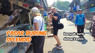 Download lagu HARI MINGGU PASAR SPLENDIT RAMAI BANYAK TURIS YANG DATANG KESINI mp3