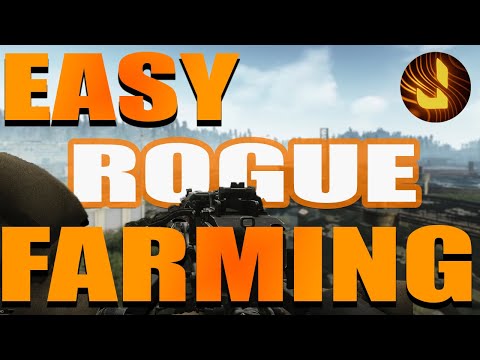 EASY Rogue Farm as a BEAR OR USEC!! - Escape From Tarkov: Lighthouse Rogue guide