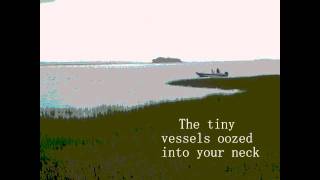 Death Cab for Cutie - Tiny Vessels (lyrics)