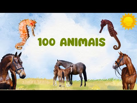 100 Animais Incríveis