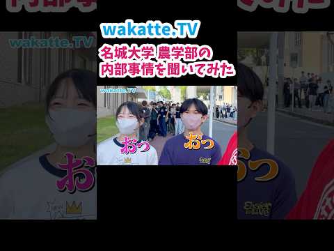 【農学部の内部事情】名城大学キャンパス調査！【wakatte.TV 切り抜き】
