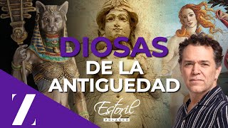 DIOSAS DE LA ANTIGÜEDAD desde El Estoril, Polanco.