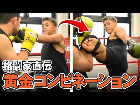 【これぞ鉄板！】パンチ・キックのコンビネーションをHIROYA大雅が教えます【 #HIROYA塾】