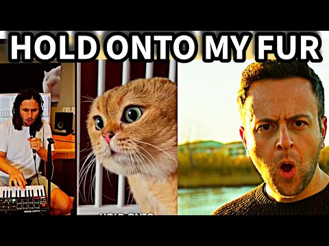 The Kiffness x Spaul x Oh Long Johnson 2.0 - Hold Onto My Fur (Talking Cat Song)