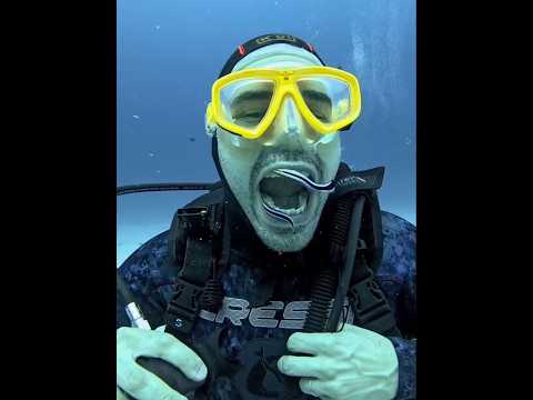 What If We Could Breathe Underwater 😱