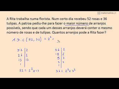 Fração de uma Quantidade