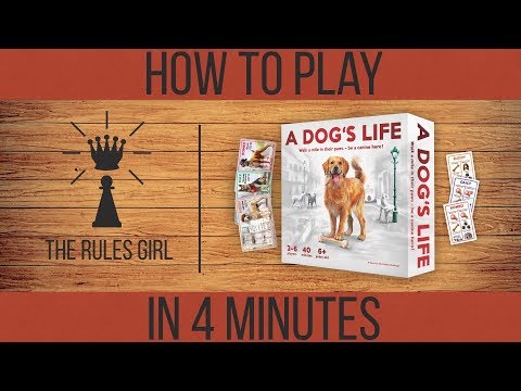 How to Play A Dog's Life in 4 Minutes - The Rules Girl