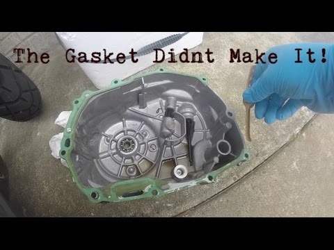 Grom Clutch Side Gasket Change | Recruited The Wife's Help