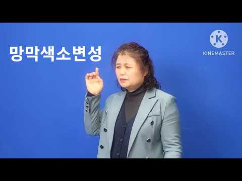 「색소로」의 한국수어 표현
