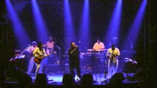 The Effinays -  The Cat [Live]