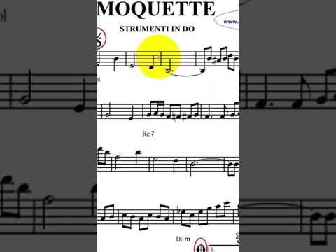 Moquette#valse#accordeon #accordion #accordionist #fisarmonica #musette