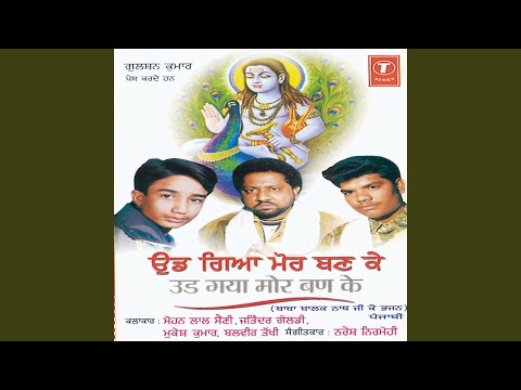 aaja aaja gufa de vicho bahar malka