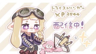 【エリア】3097〜スランプ抜けたい【トライストリンガー】【スプラ3】