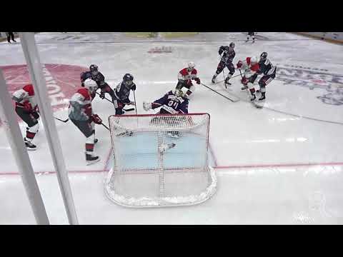 31.01.20 Lausanne HC 4-2 ZSC Lions