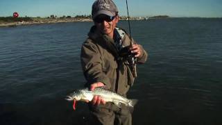 Download lagu Fishing with Rod: Tidal Fraser bull trout mp3