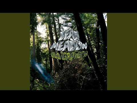 Either Way - Dead Meadow