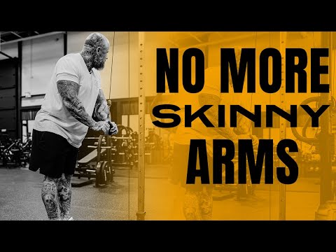 ARMS LIKE ROELLY WINKLAAR | MIKE VAN WYCK