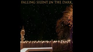 Falling Silent In The Dark (Catie Curtis cover)