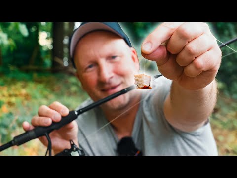 Friedliche Räuber - Suchtpotenzial, anschlagen nicht vergessen!