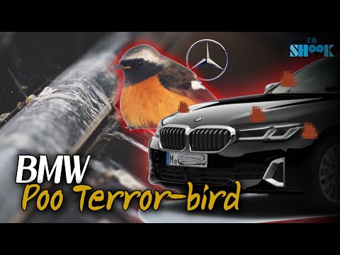 Be Honest... Do You Work For Benz..?