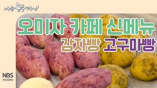 [나는농부다 216회] 영숙 씨의 오미자 카페, 새로운 메뉴 감자빵 고구마빵