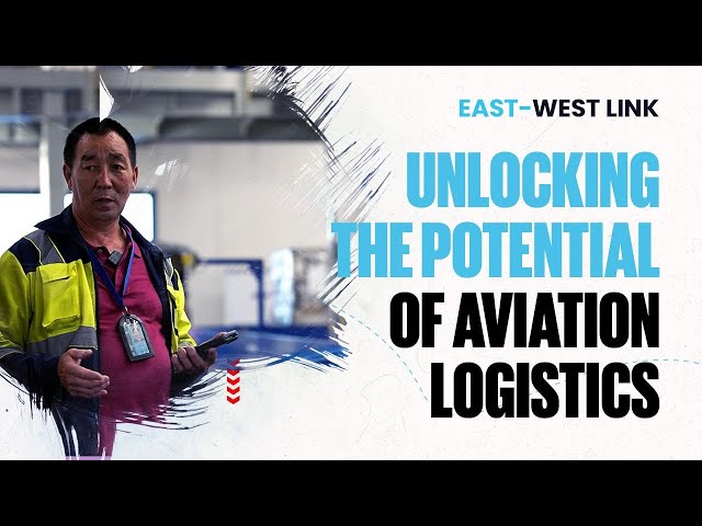 Air logistics: growth dynamics of passenger and cargo transportation