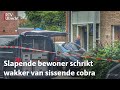 OM eist 4,5 jaar cel voor vuurwerkaanslag in Amersfoort | RTV Utrecht