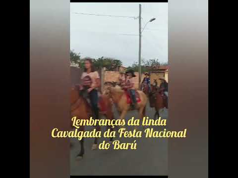 FESTA NACIONAL DO BARÚ EM UBAÍ _ MG