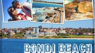 Sights & Sounds: Flying Fox Helihike, Fox Glacier