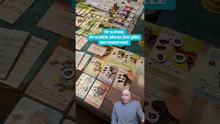 Dog Park #boardgames