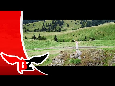 Bizi x Lizi - Aer Fresh