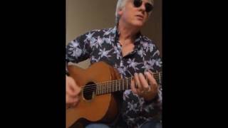 Robyn Hitchcock ~Antwoman ~ live acoustic