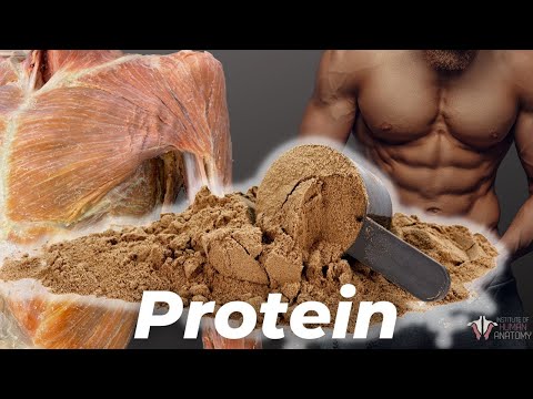 How Much Protein You Really Need (According to Science)